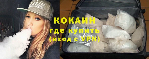 крисы Дмитров