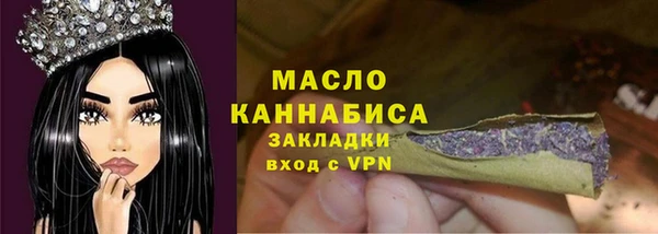 крисы Дмитров