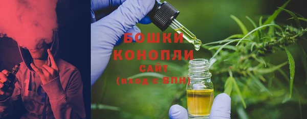 амф Дмитровск