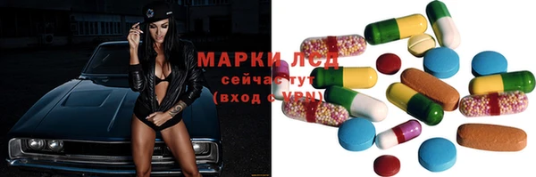 крисы Дмитров