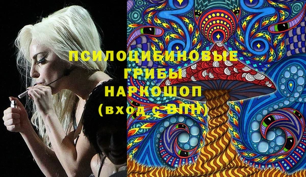 крисы Дмитров